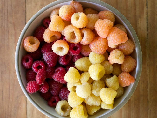 Colors of raspberries (seriouseats.com)