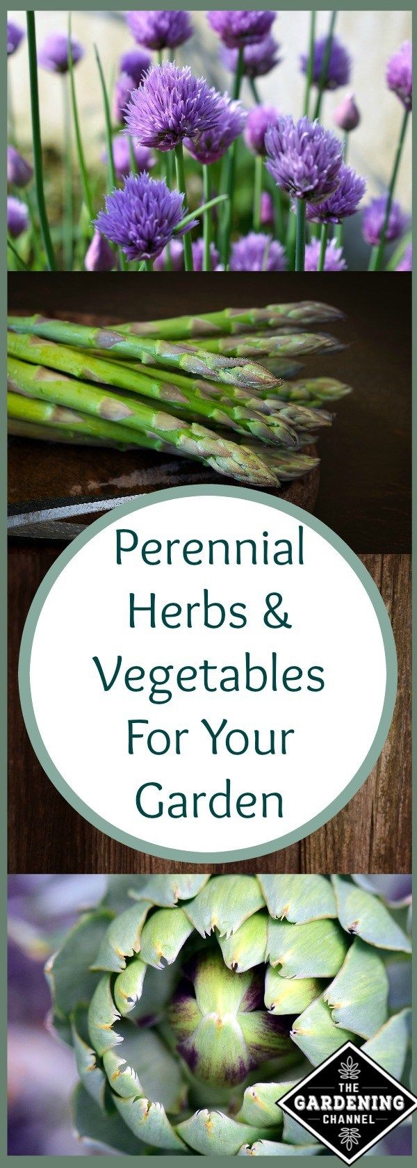 Plant perennial vegetables and herbs! (pinterest.com)
