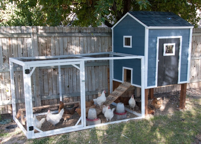 Chicken coop, source of chicken manure. (blog.gardenloversclub.com)