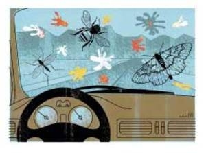 Remember bugs on the windscreen? (imway2fat.wordpress.com)