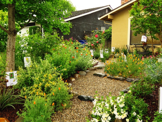Every garden can find room for a few native plants. California native plant garden. (cnps.org)