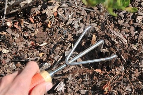 Weeds -do- grow through landscape fabric, and mulch. You might have fewer weeds, but they'll still need to be removed! (homeguides.sfgate.com)