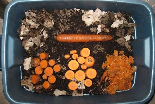 Worms migrate to their food source. (gardens.theownerbuildernetwork.co)