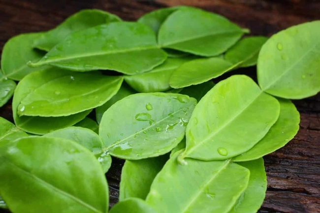 Kaffir lime leaves. (spiceography.com)