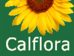Calflora--check website for information on wild California plants.  https://www.calflora.org/   (csumb.edu)