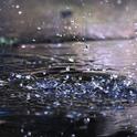 Rain. (carbonbrief.org)