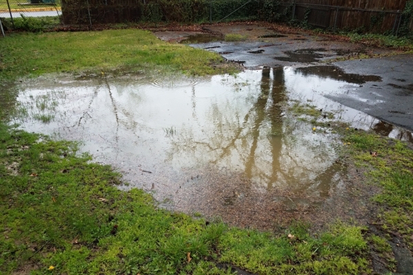 Water accumulating in garden. (ahs.com)