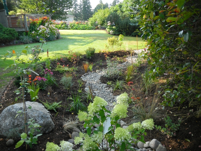 Keep the rain that falls in your garden in a rain garden. Contour the ground, create swales. (kitsapcd.org)