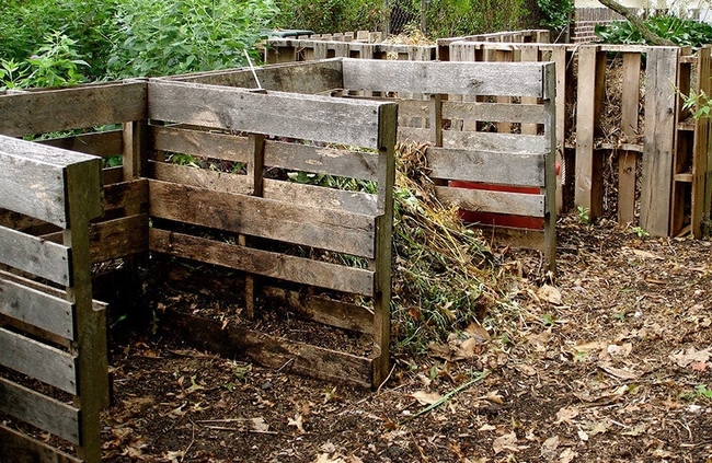 Check compost bins for signs of activity. (bonnieplants.myshopify.com)