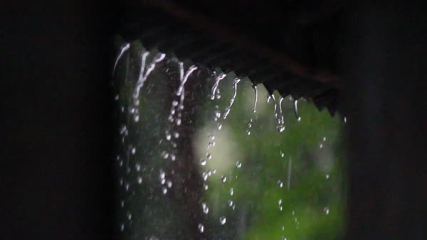 Capture that rain for irrigation. (dissolve.com)