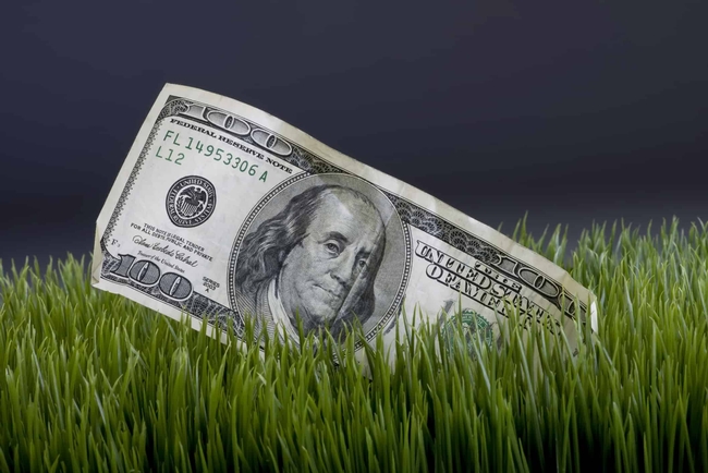 Look for Cash for Grass programs in your town. (octurfandputtinggreens.com)