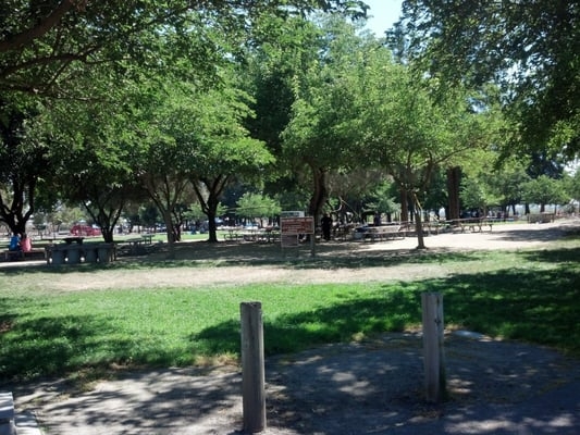Kennedy Park stuffed with trees. (yelp.com)