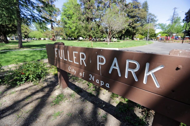 Fuller Park, more trees. (napavalleyregister.com)