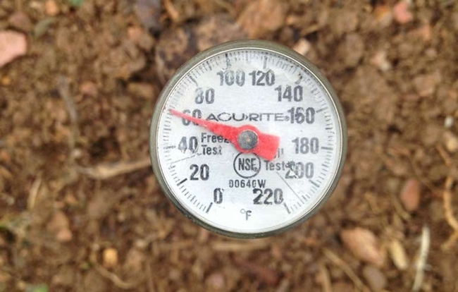Be -sure- soil temp is 60 or above before planting. (blog.winchester.com)