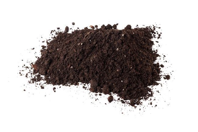 Soil Humus (Depositphotos)