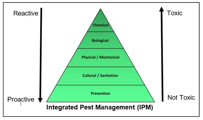 The Sustainable Pest and Disease Control Approach - OKC Beautiful (okcbeautiful.com)