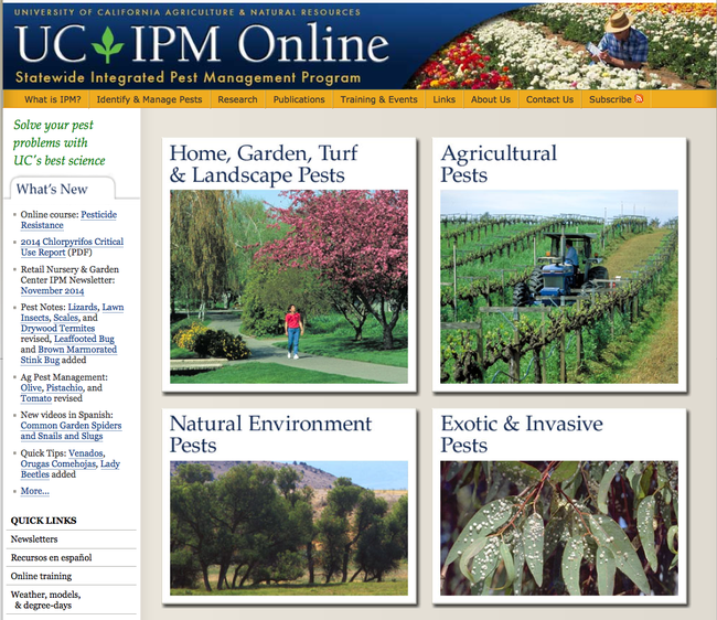 UC IPM - Pests in the Urban Landscape - ANR Blogs (ucanr.edu)