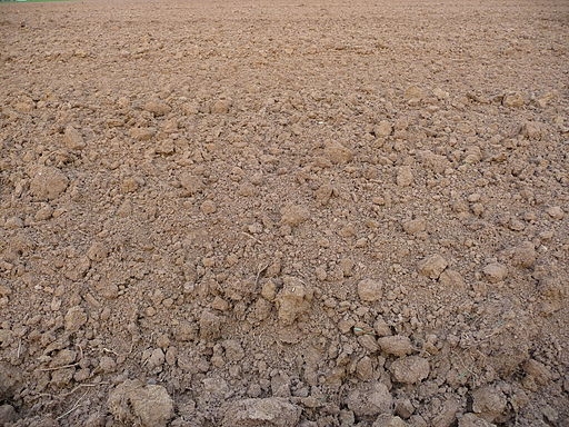 Bare tilled soil (wikimediacommons.org)