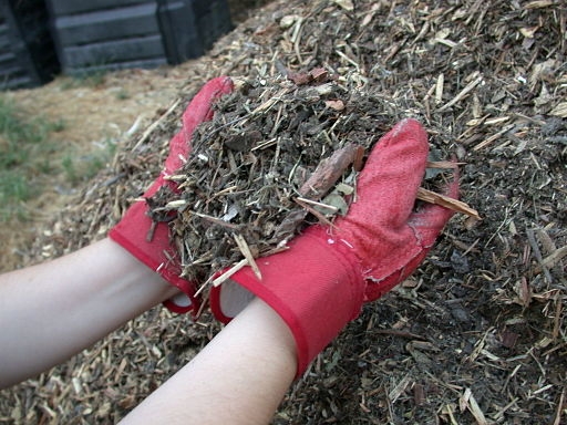 mulch (wikimediacommons.org)