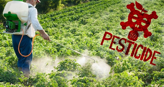 Pros and Cons of Pesticide Use In Farming and How AgTech Will Help (challenge.org)