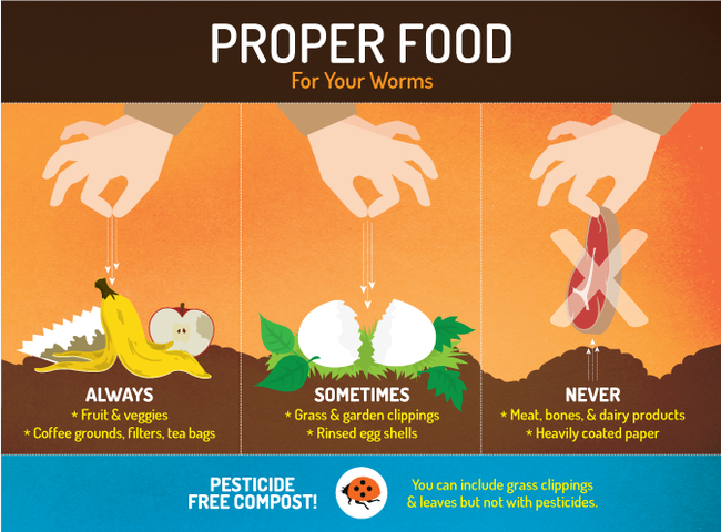 Vermicomposting- How To Worm Your Way Into Composting Heaven (care2.com)