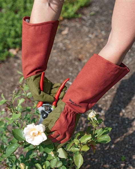 Rose Gloves for Pruning and Gardening (gardeners.com)