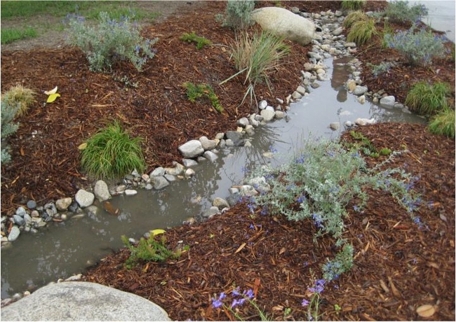 What Is A Bio-Swale Rainwater harvesting, Ponds backyard, Natural farming (pinterest.com)