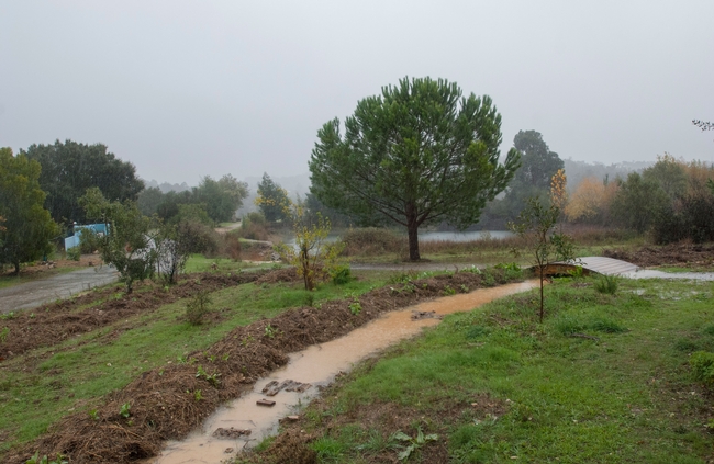 WATER RETENTION LANDSCAPE  (planetalentejo.com)