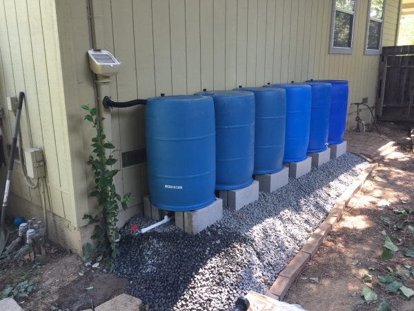 Rainwater Harvesting and Rain Gardens (napawatersheds.org)