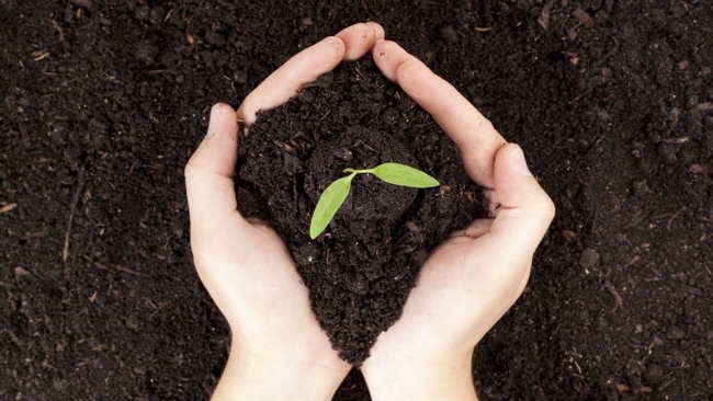 Dust to Dust- Will California Lawmakers Legalize Human Composting — Transforming Bodies Into (gvwire.com)