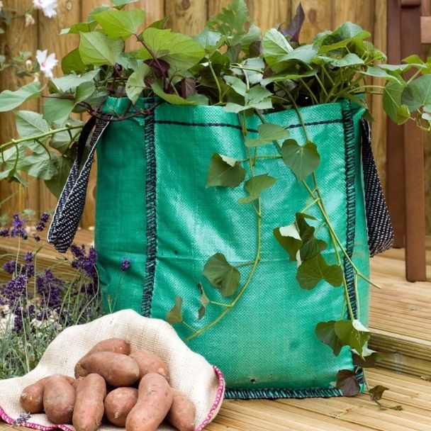 Potato Growing Bag (pinterest.com)