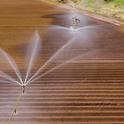 Recortes de agua en agricultura debido a sequia