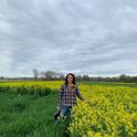 Sarah Light aparece ante un campo de cultivo de mostaza blanca. Un nuevo estudio ayuda a los agricultores a calcular los costos y beneficios potenciales de los cultivos de cobertura de invierno.