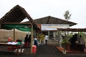 Photo: Decorating for the launch of the new Postharvest Training & Services Center in Tanzania.