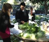 Photo: Participants Investigate the Sensory Implications of Different Storage Temperatures of Fresh-cut Products