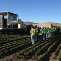 Learning about field packed lettuce in the Salinas Valley during the 2012 Postharvest Technology Short Course Field Tour, just one of the options for the Produce Professional Certificate Program.