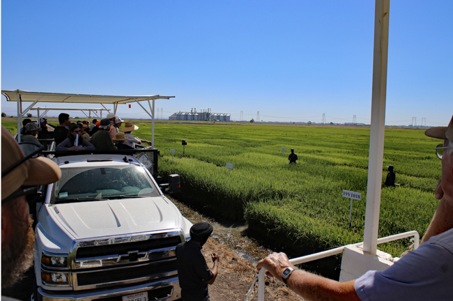 Rice researchers are introducing growers and other interested parties the research in progress at the RES.