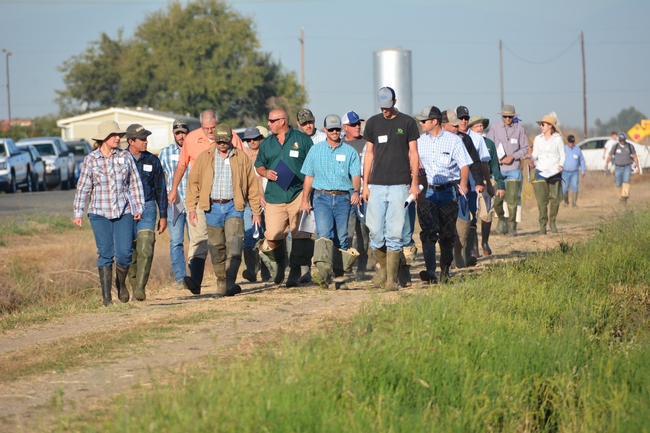 Participants head to the field to view plots (2016). Photo by Dana Dickey