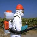 People who work on farms wear personal protective equipment to protect themselves from COVID-19, pesticides, dust and other health hazards. People who work on farms wear personal protective equipment to protect themselves from COVID-19, pesticides, dust and other health hazards.