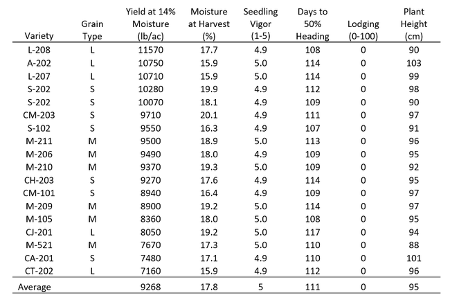 2024-2-2 Rice Variety Trial Table 1