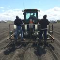 UCCE Sorghum Seeding Rate Trial in the Sacramento County Delta.