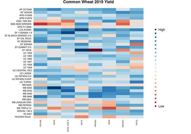 2019 common wheat yield heat map across locations.