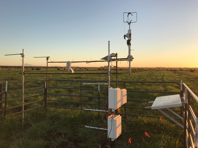 Equipment like this is used to measure crop water use. This photo was taken during a previous Delta trial.