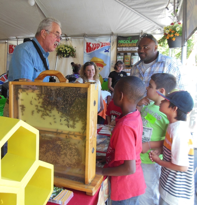 kids enjoy demonstration beehive