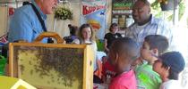 beekeeper, kids 2 for Small Farm News Blog