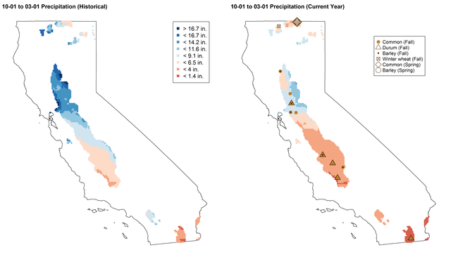 Figure 1. Historical precipitation (10-year average, left) compared to rainfall totals during the current season (right) between 10/1/2017 and 3/1/2018. Also indicated are UC Small Grain Testing Program trial locations for various crop types (right).