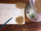 Seeding Rate Caculator