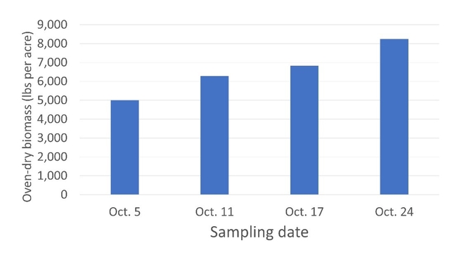 Figure 3.  Merced rye cover crop biomass changes over time.