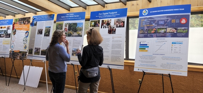 Five vertically oriented posters on easels, displayed side by side in a hallway, with two women discussing them.