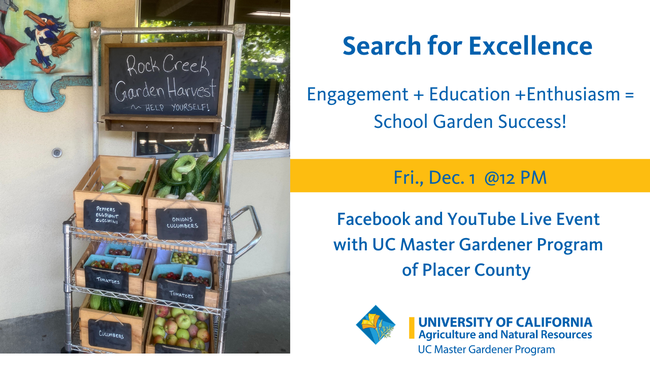 Facebook Live: Search for Excellence, Engagement + Education + Enthusiasm = School Garden Success, Fri., Dec. 1 at noon